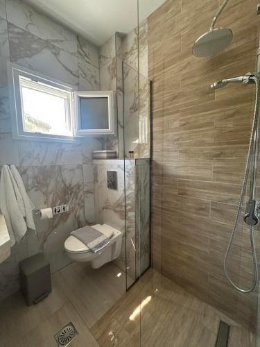 a bathroom with a shower and a toilet and a sink at Fiosal Apartments 3 in Skiathos
