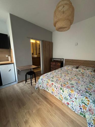 a bedroom with a bed with a colorful bedspread and a kitchen at Studio Quai Claude Bernard in Grenoble
