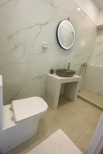 a bathroom with a sink and a toilet and a mirror at Eleni`s apartment Gialova, Giorgos House in Gialova