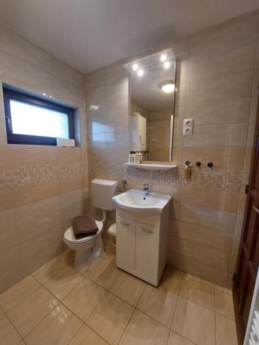 a bathroom with a toilet and a sink and a mirror at Balaton Breeze Retreat in Balatonfüred