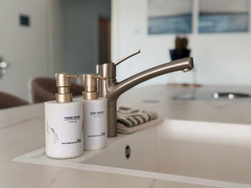 a sink with two bottles of soap and a faucet at Luxury Apartments Marz in Schwanau