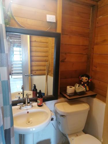a bathroom with a sink and a toilet and a mirror at Cabaña Alpina Saltillo in Saltillo