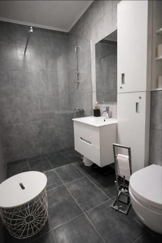 a bathroom with a sink and a toilet at AR Vila Kikinda in Kikinda