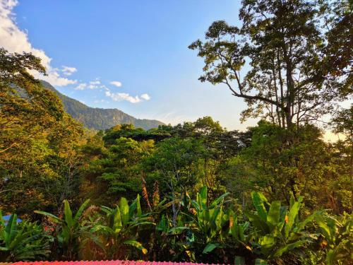 a view of a forest with mountains in the background at Cabaña Campestre de Descanso in Melgar