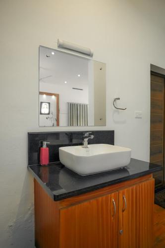 a bathroom with a sink and a mirror at Cloud 9 Homestay, Thekkady in Thekkady