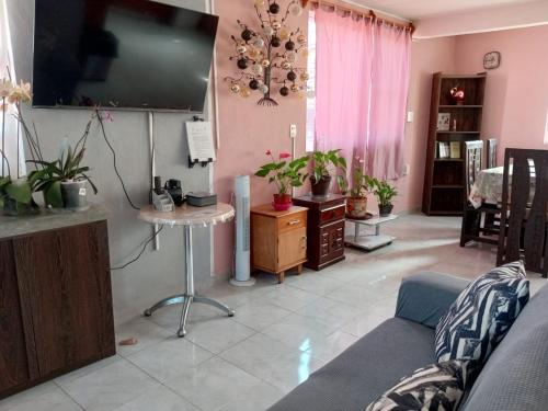 a living room with a couch and a tv at Casa Quiroga in Mexico City