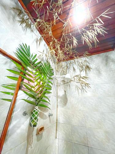 a bathroom with a shower with a plant in it at Hostel Povos da Floresta in Rio Branco