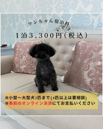 a small black dog sitting on a couch with a sign at 一棟貸しゲストハウス マリドール in Izumo