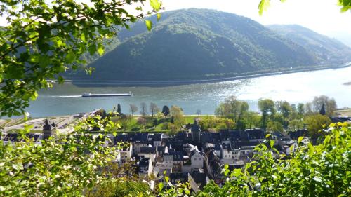 a boat in the water next to a town on a lake at Gästehaus Rheinromantik in Bacharach