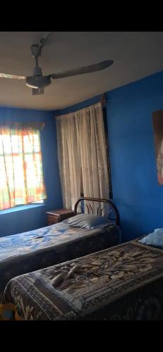 a bedroom with two beds and a blue wall at Finca EL CHACHALACO in Agua Buena