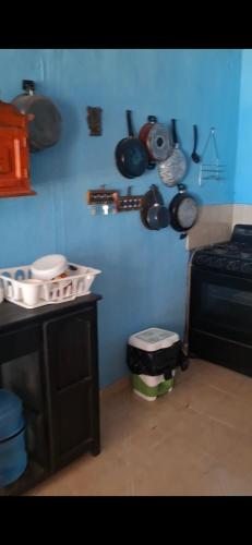 a kitchen with a blue wall with pots and pans at Finca EL CHACHALACO in Agua Buena