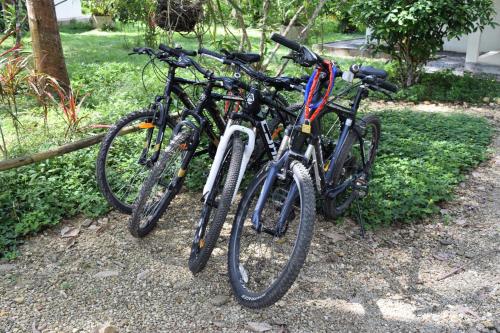 a group of bikes parked next to each other at Manora Garden in Phangnga