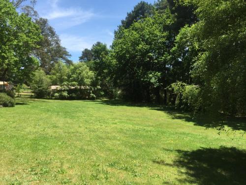 a large grass field with trees in the background at Daylesford Holiday Park in Daylesford