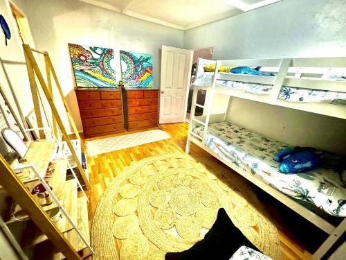 a room with two bunk beds and a rug at Backpacker Bunks and Queen Pool Clifton Beach in Clifton Beach