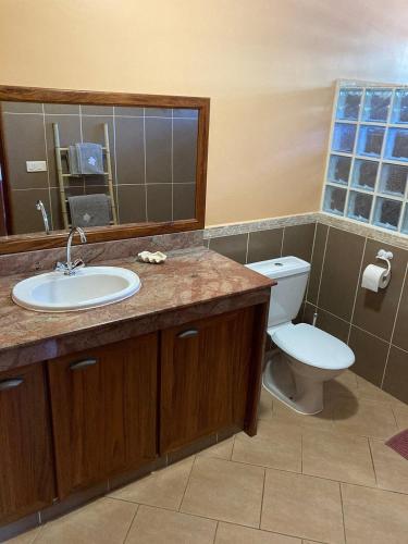 ein Badezimmer mit Waschbecken, Toilette und Spiegel in der Unterkunft Rainforest Valley in Mataiea