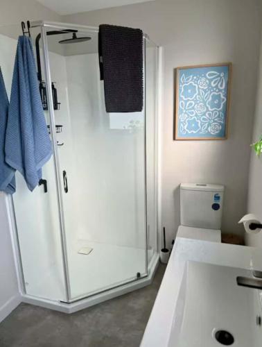 a bathroom with a shower and a sink at Swansea Cabins in Swansea