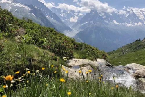 Cozy stay Mont-Blanc view Top location