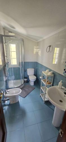 a bathroom with a sink and a toilet and a shower at LURRA Tierra Apartamento 1 in Sopuerta