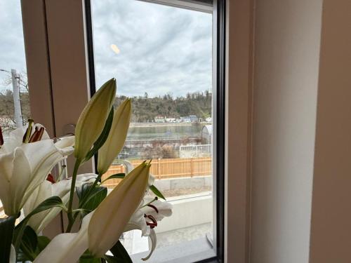 Donau-Loft