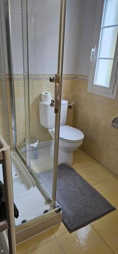 a bathroom with a toilet and a shower at URA Agua Apartamento 2 in Sopuerta