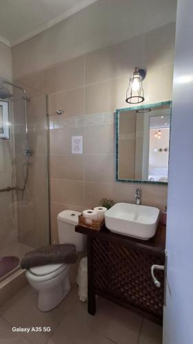 a bathroom with a toilet and a sink and a shower at Trousas Double Apartment in Roda