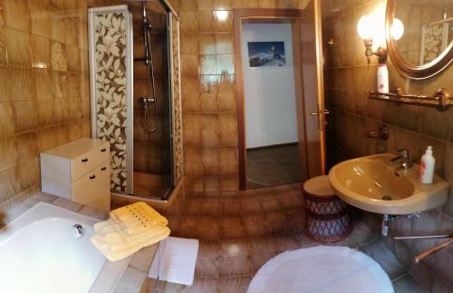 a bathroom with a sink and a shower at Gästehaus Gruber in Pusterwald