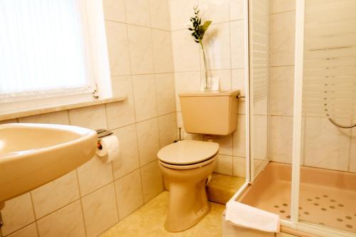 a white bathroom with a toilet and a sink at Ferienwohnungen Hasenpatt in Bad Sachsa