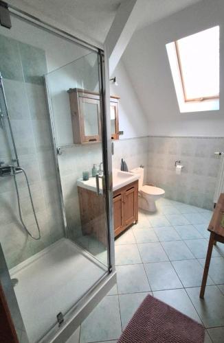 a bathroom with a shower and a sink and a toilet at Ranczo Brusno in Połczyn-Zdrój