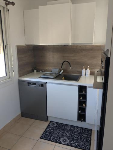 a kitchen with a sink and a counter top at Maison 5 chambres front de mer classée 3 étoiles tourisme in Narbonne