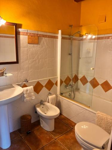 a bathroom with a toilet and a sink and a shower at Posada Real de Carreteros in Casarejos