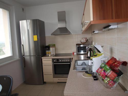 a kitchen with a stainless steel refrigerator and a sink at Apartmán Drahovice in Karlovy Vary