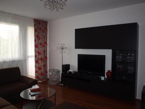 a living room with a couch and a television at Apartmán Drahovice in Karlovy Vary