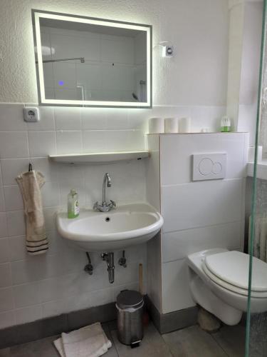 a bathroom with a sink and a toilet and a mirror at Horrem City Apartments in Horrem