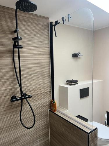 a shower in a bathroom with a glass wall at NEU! Dat Lütt Hüs in Tönning