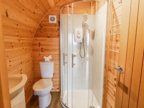 ein kleines Badezimmer mit Toilette und Dusche in der Unterkunft Keith in Stranraer