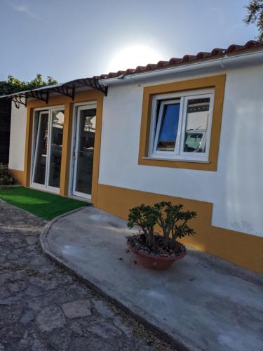 Estudio Robusto