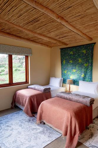 two beds in a room with two windows at Bergplaas Nature Reserve in Nieu-Bethesda