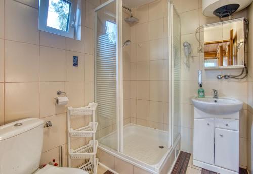 a bathroom with a shower and a toilet and a sink at Domek ANITA in Polańczyk