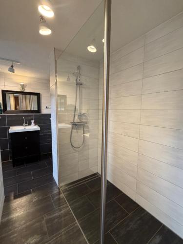 a bathroom with a shower and a sink at Harzhaus Ida in Elbingerode