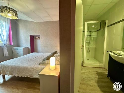 a bedroom with a bed and a bathroom with a shower at La Maison du Parc in Les Maillys