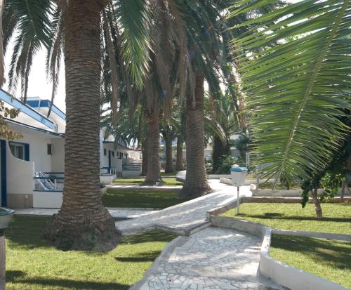 a row of palm trees next to a walkway at Hotel Gabbiano in San Domino