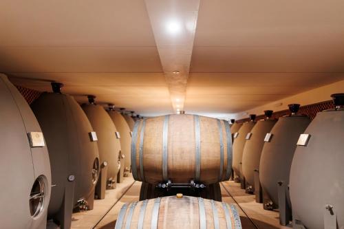 a row of wine barrels in a wine cellar at Château Catherine de Montgolfier - B&B et Gites - Piscine - Domaine viticole bio avec dégustation in Narbonne