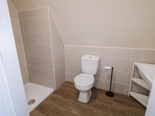 a bathroom with a toilet and a shower and a sink at Cabin 5 Eargail in Gortahork