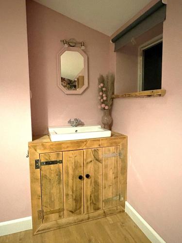 a bathroom with a sink and a mirror at B&B Chili Hoeve in Wanroij