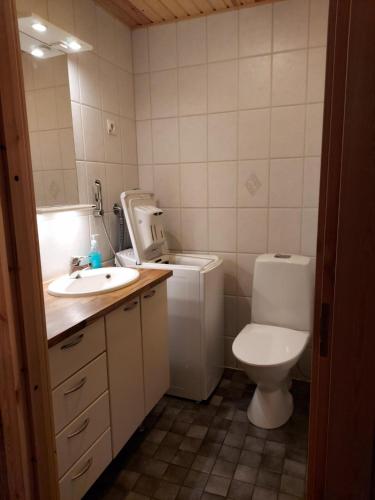 a small bathroom with a toilet and a sink at Huvila Vuosselin Nuppu in Kuusamo