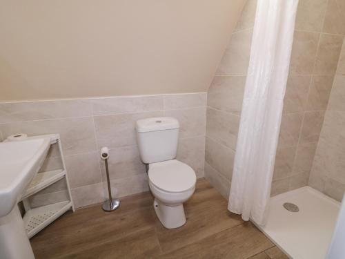 a bathroom with a toilet and a sink and a shower at Cabin 9 Inis Beag in Gortahork