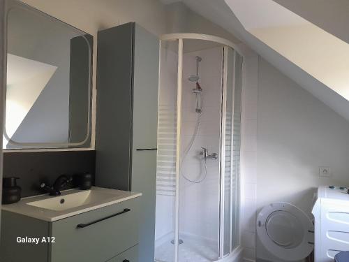 a bathroom with a shower and a sink at Maison centre ville Bourgueil in Bourgueil