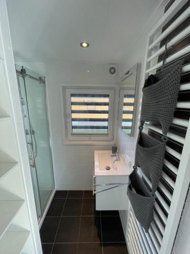 a bathroom with a sink and a shower at Floatinghouse Dicke Bärta in Klitten