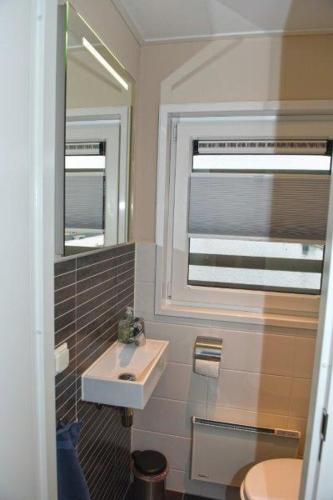 a bathroom with a sink and a mirror at Floatinghouse Dolce Vita in Klitten