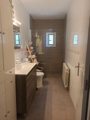 a bathroom with a sink and a toilet at Casa Rural MONTE VERDE in Illana